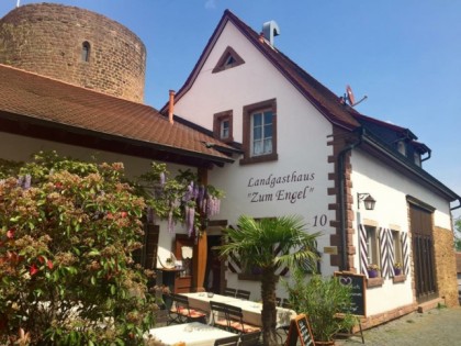 照片: Landgasthaus Zum Engel